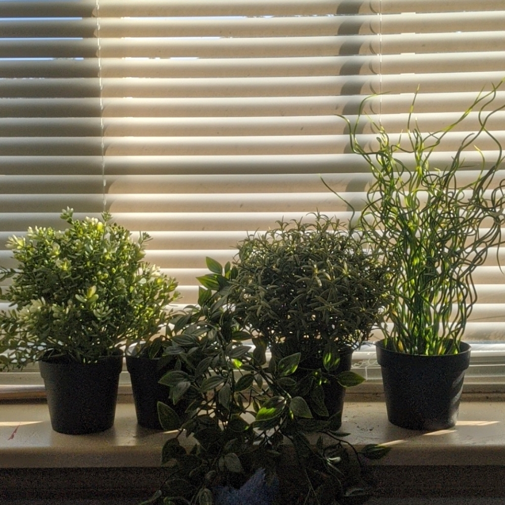 Variety of fake IKEA plants
